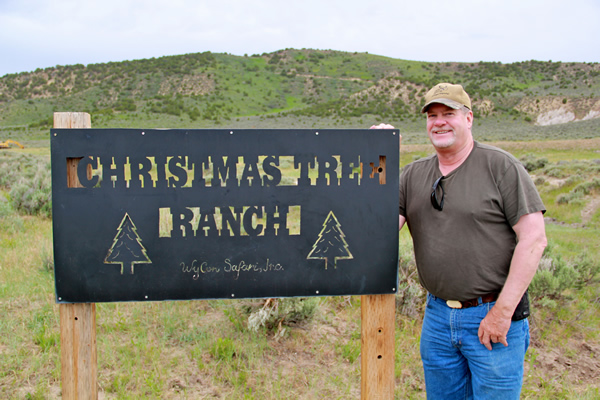 christmas tree ranch colorado