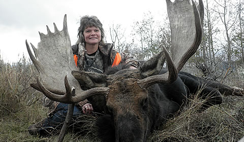 moose hunts in wyoming and colorado wycon safari
