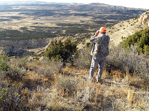 wyoming and colorado hunting